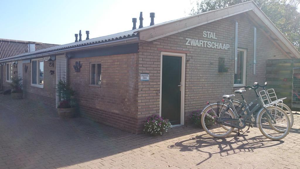 Apartamento Stal Zwartschaap Stuifzand Exterior foto